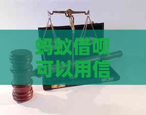 蚂蚁网贷可以用信用卡还款吗？安全吗？怎么操作？