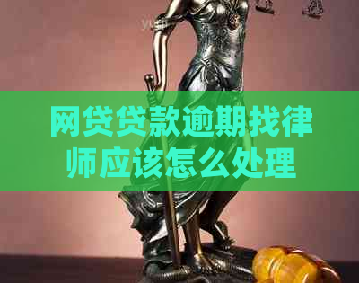 网贷贷款逾期找律师应该怎么处理