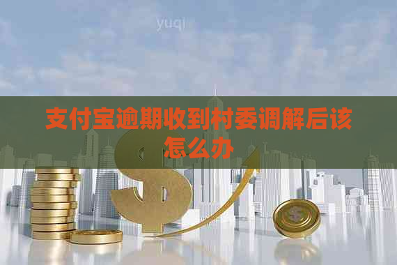 支付宝逾期收到村委调解后该怎么办