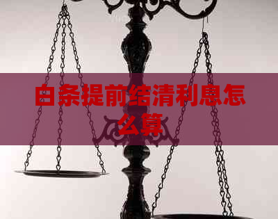 白条提前结清利息怎么算