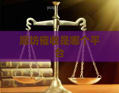 廊坊是哪个平台