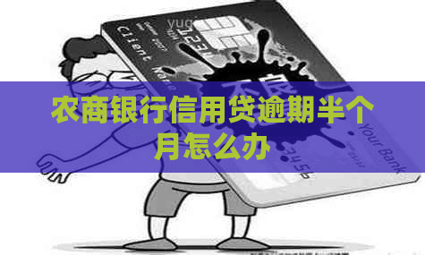 农商银行信用贷逾期半个月怎么办