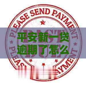 平安新一贷逾期了怎么调解个人信用记录