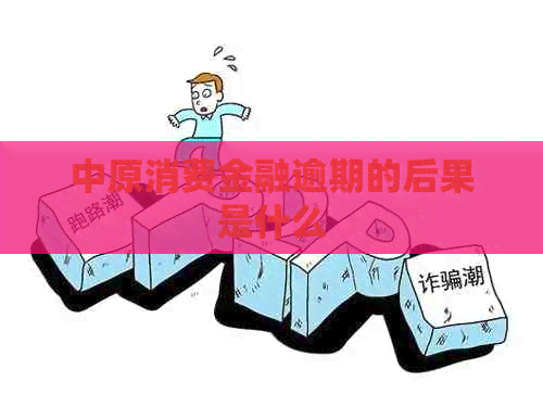 中原消费金融逾期的后果是什么