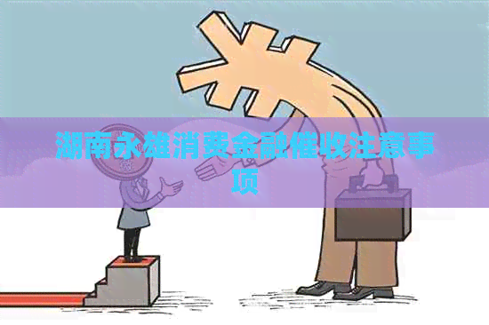 湖南永雄消费金融注意事项