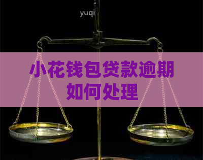 小花钱包贷款逾期如何处理