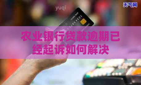 农业银行贷款逾期已经起诉如何解决