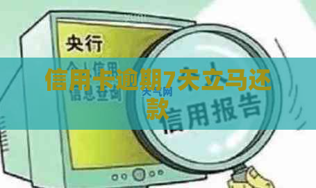 信用卡逾期7天立马还款