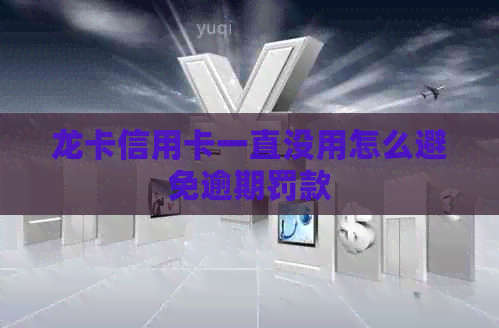 龙卡信用卡一直没用怎么避免逾期罚款
