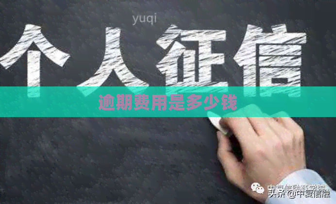 逾期费用是多少钱