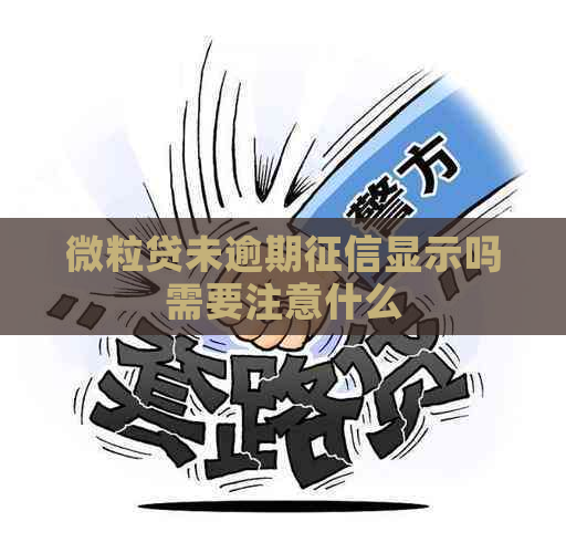 微粒贷未逾期显示吗需要注意什么