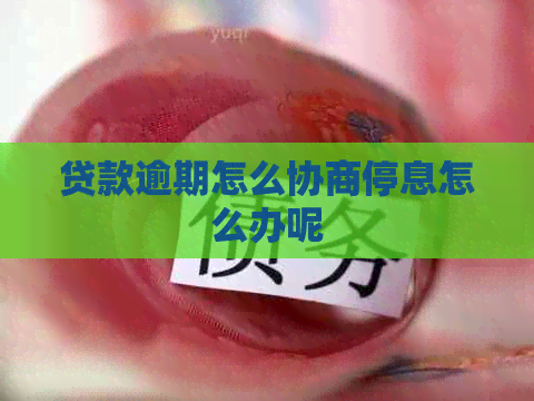 贷款逾期怎么协商停息怎么办呢