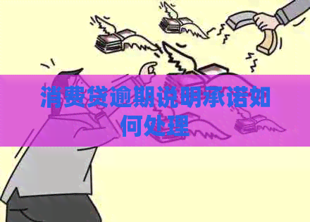 消费贷逾期说明承诺如何处理