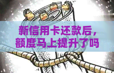 新信用卡还款后，额度马上提升了吗？