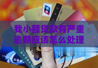 我小额贷款有严重逾期应该怎么处理