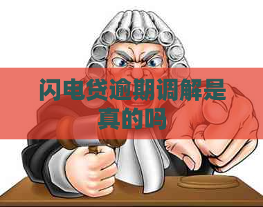 闪电贷逾期调解是真的吗