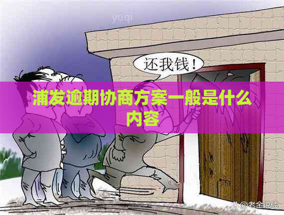 浦发逾期协商方案一般是什么内容