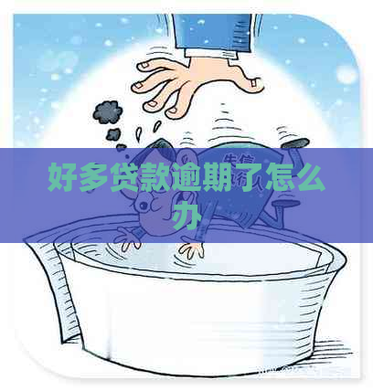 好多贷款逾期了怎么办