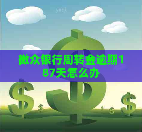 微众银行周转金逾期187天怎么办