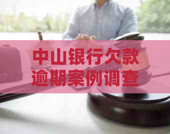 中山银行欠款逾期案例调查结果