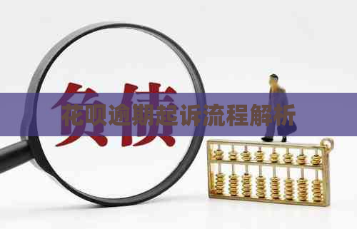 白条逾期起诉流程解析