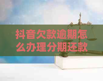 抖音欠款逾期怎么办理分期还款