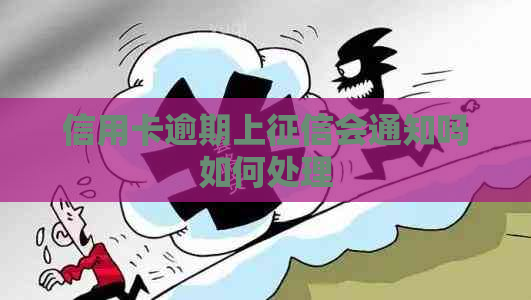 信用卡逾期上会通知吗如何处理