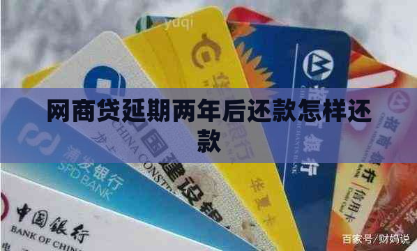 白条贷延期两年后还款怎样还款
