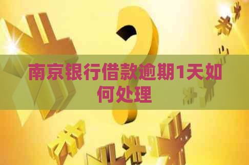 南京银行借款逾期1天如何处理