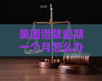 美团借款逾期一个月怎么办