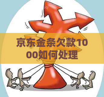 京东金条欠款1000如何处理