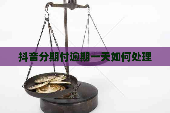 抖音分期付逾期一天如何处理