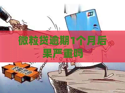 微粒贷逾期1个月后果严重吗