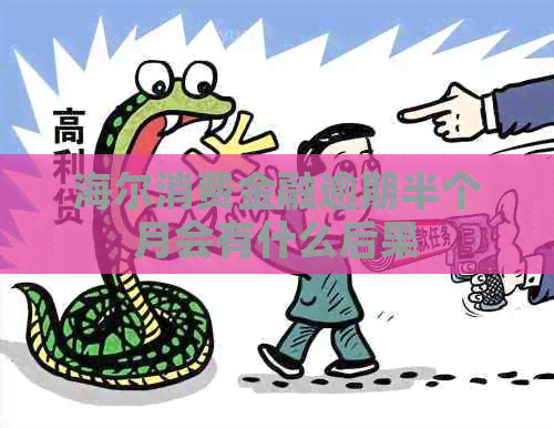海尔消费金融逾期半个月会有什么后果