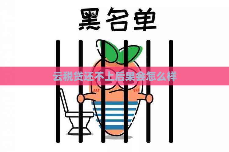 云税贷还不上后果会怎么样