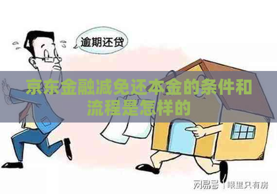 京东金融减免还本金的条件和流程是怎样的