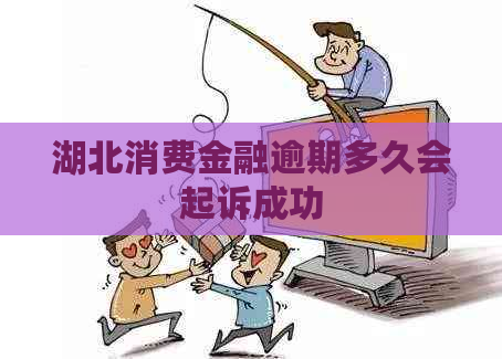 湖北消费金融逾期多久会起诉成功