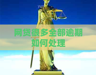 网贷很多全部逾期如何处理
