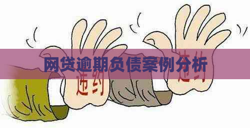 网贷逾期负债案例分析