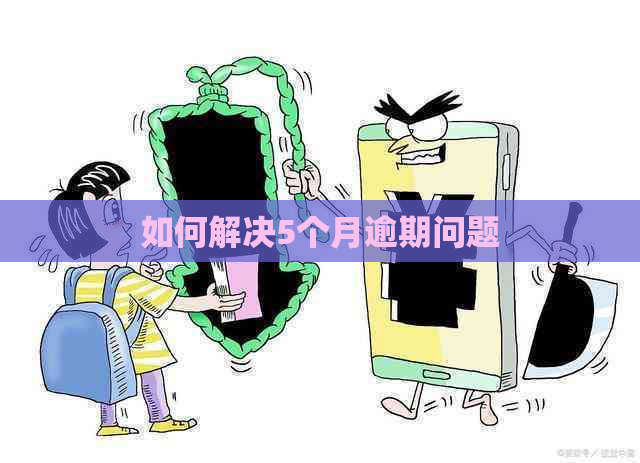 如何解决5个月逾期问题