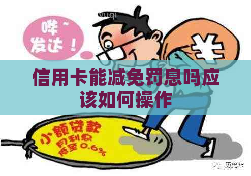 信用卡能减免罚息吗应该如何操作