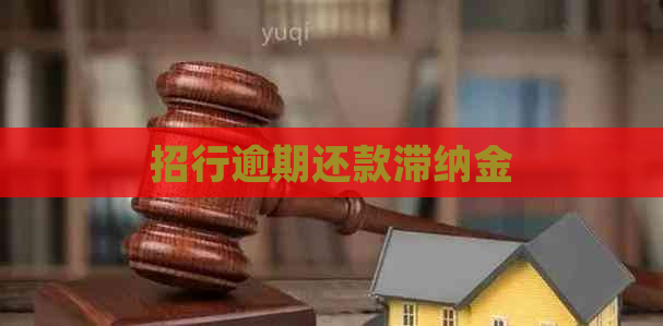 招行逾期还款滞纳金