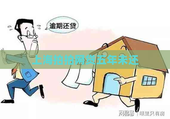 上海拍拍网贷五年未还
