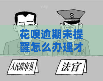 白条逾期未提醒怎么办理才能解决问题