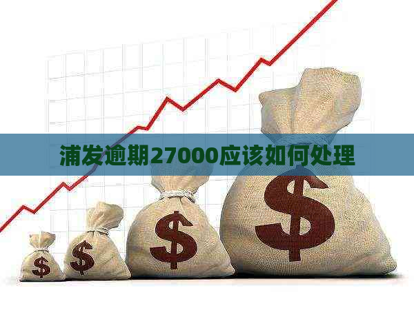 浦发逾期27000应该如何处理