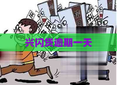 兴闪贷逾期一天