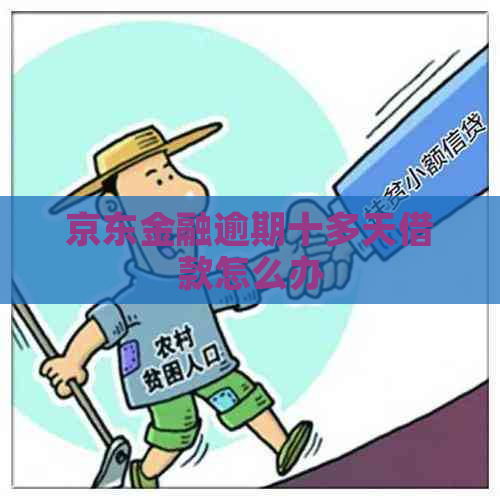 京东金融逾期十多天借款怎么办