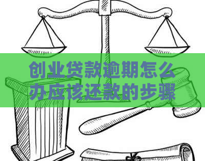 创业贷款逾期怎么办应该还款的步骤是什么