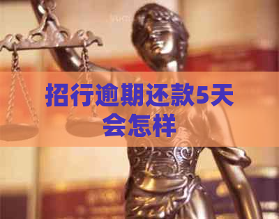 招行逾期还款5天会怎样