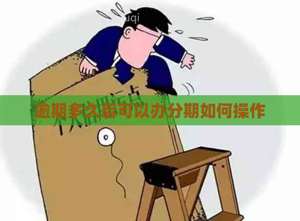 逾期多久后可以办分期如何操作